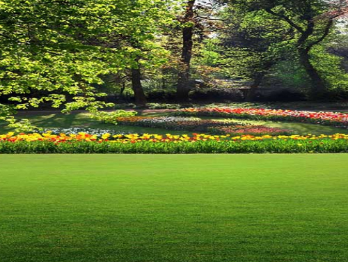 �Ϻ������ƺ