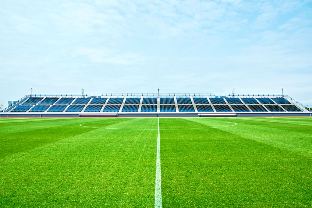 �Ϻ������ƺ