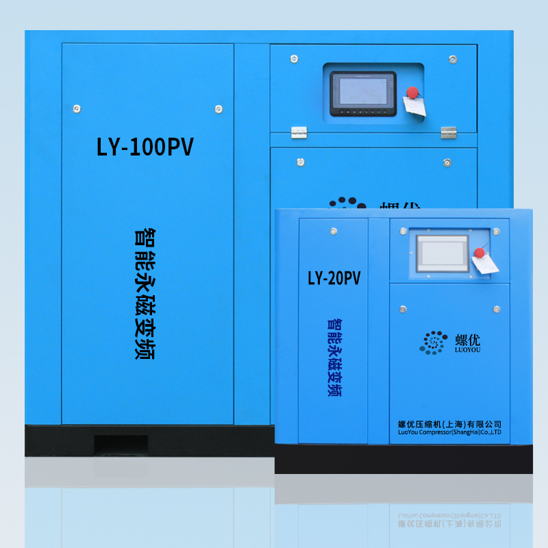 LY20-100PV����ѹ��