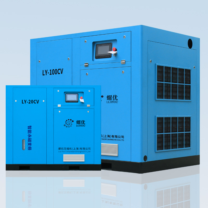 LY-20-100CV����ѹ��